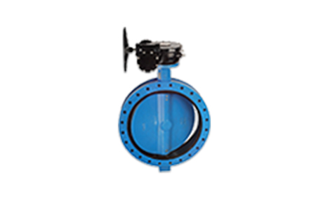 Butterfly valve with flanges